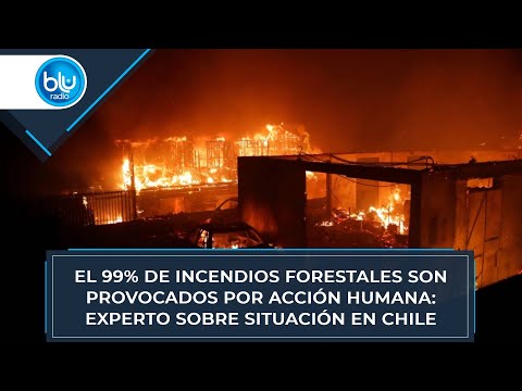 El 99% de incendios forestales son provocados por acción humana: experto sobre situación en Chile