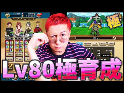 【ドラクエウォーク】極ボーンナイト育成&Lv80二巡目レベリング雑談START!!【ドラゴンクエストウォーク】