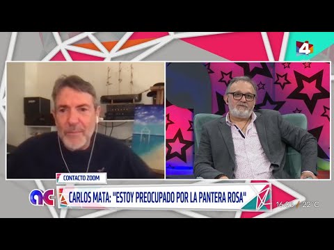 Algo Contigo - Insólito: Carlos Mata opinó sobre la polémica en torno a La Pantera Rosa