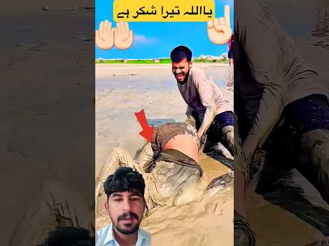 duniya 🌍 ke sabse pyari ♥️ awaaz#azan #islamicprayer #islamicprayer #quran