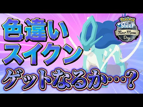 【ポケモンスリープ】最後の色違い三犬チャレンジ！！果たして色違いゲットなるか…！？