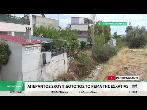 Αυτοψία του ΑΝΤ1 σε ακαθάριστα ρέματα της Αττικής