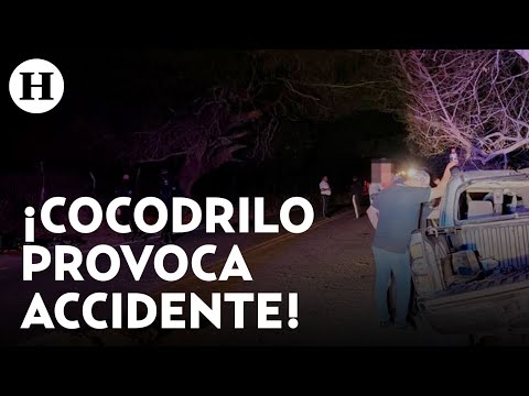 3 personas pierden la vida en Culiacán luego de chocar su vehículo tras atropellar un cocodrilo