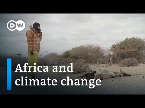 Nairobi climate talks seek African solutions for global warning | DW News