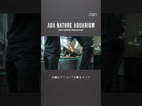 [ADAview] Healing bush  -W1200mm Nature Aquarium Layout-【EN/JP Sub.】