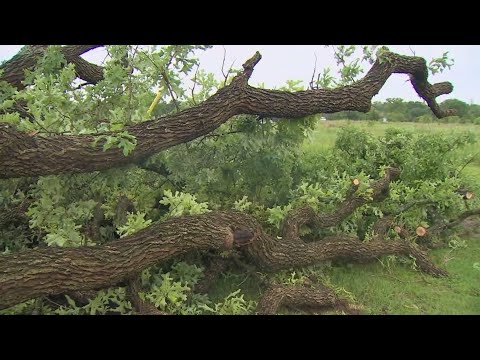 Live: Storm damage in Brushie Prairie, Texas