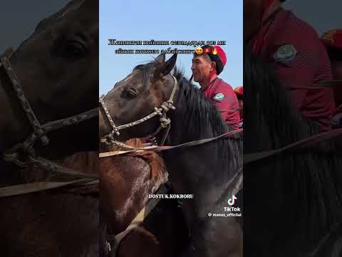 Достук #рекомендации #реки #рекомендации #рек #horse