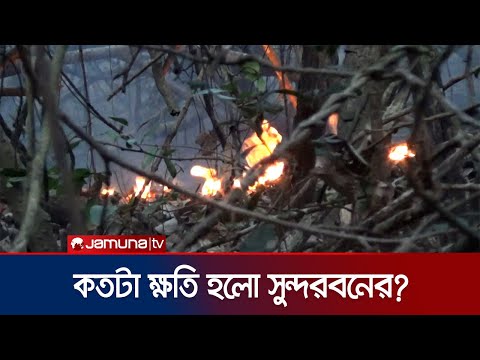 প্রায় ২৪ ঘণ্টার আগুনে কতটা ক্ষতি হলো সুন্দরবনের? | Sundarban Fire | Jamuna TV