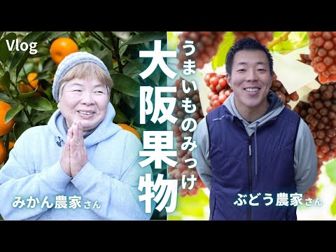 【絵本作りに協力】葡萄とみかん農家さんを出版社にアテンド旅！