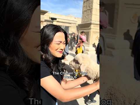 You know it's a good week when there are animal extras on set.