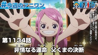#今週のアニワン　「非情なる運命　父くまの決断」 ONE PIECE 1134話