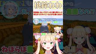 何度追い払ってもこっそり畑を荒らしに来るカラスのぺこーらに手を焼くねねち #shorts  #ホロライブ #切り抜き #vtuber #桃鈴