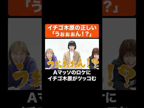 正しい「うぉぉぉん！？」 #Aマッソ #イチゴ