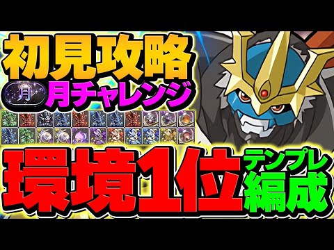 【環境1位】インペリアルドラモンで月チャレンジ初見攻略！これが一番強いと思います！【パズドラ】