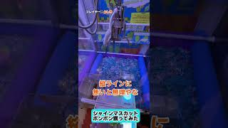 動画サムネイル