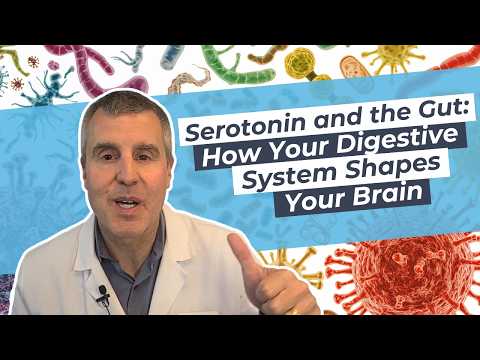Serotonin and the Gut: How Your Digestive System Shapes Your Brain