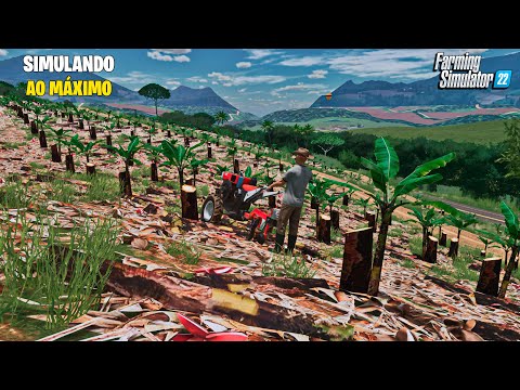 Vida de colono | Cultivando bananas em Santa Catarina | Farming simulator 22