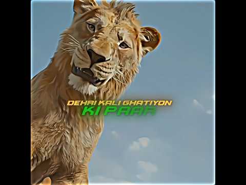 "Tumhe Kaise Pata? — Dil Ne Dekha Jo Aankhen Na Dekh Sake"#TheLionKing #EmotionalScene#Friendship