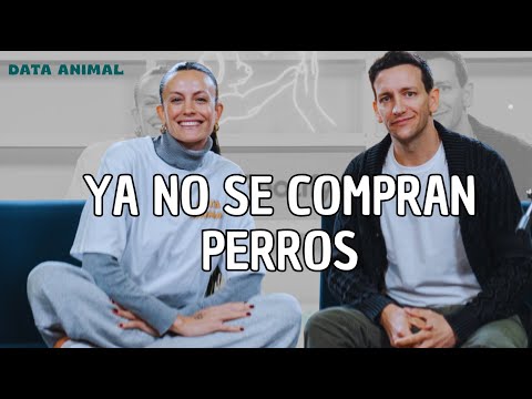 "Ya no se compran perros en Argentina" | Data Animal