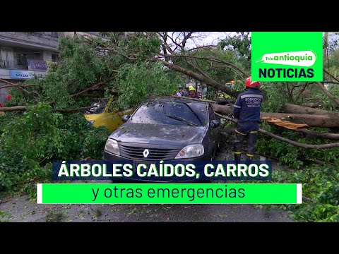 Árboles caídos, carros atrapados y otras emergencias - Teleantioquia Noticias