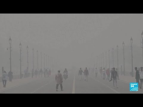 La capitale indienne New Delhi asphyxiée par un brouillard toxique • FRANCE 24