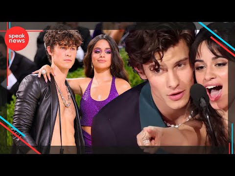 Camila Cabello y Shawn Mendes se reencuentran después de su ruptura amorosa, ¿Qué sucedió?