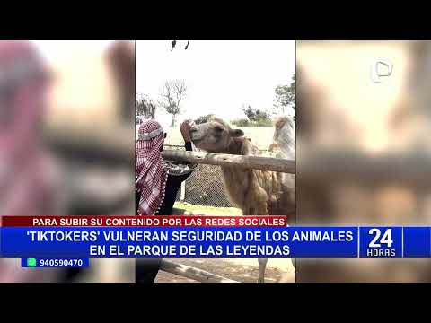 TIKTOKERS VULNERAN SEGURIDAD DE LOS ANIMALES DEL PARQUE DE LAS LEYENDAS