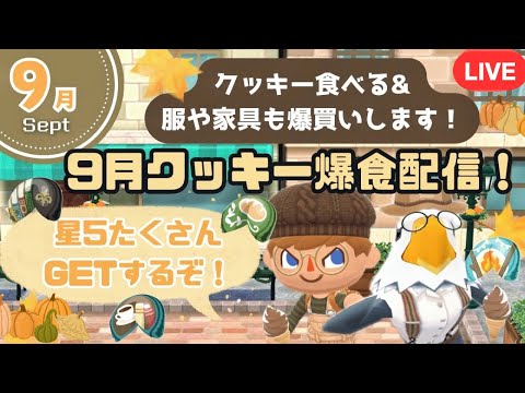 【ポケ森コンプリート】星5絶対欲しい！9月クッキー爆食&服や復刻家具爆買い配信！/キャンプ場レイアウト