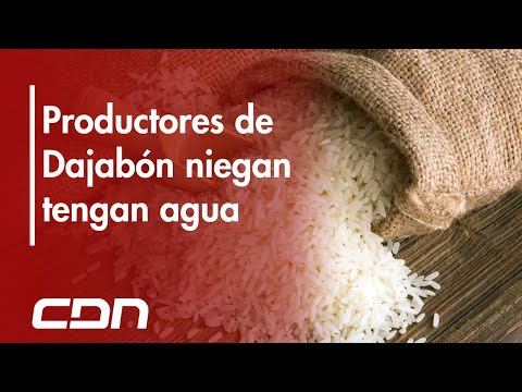 Productores de arroz de Dajabón afirma que no tienen el agua asegurada para sus cosechas