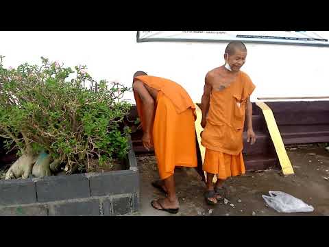 พระวินัย(พระโก)ทำที่ปลูกไม้ประ พระวินัย(พระโก)ทำที่ปลูกไม้ประ