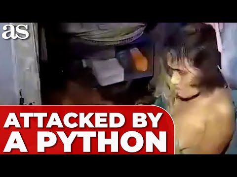 SHOCKING FOOTAGE: WOMAN FIGHTS for her LIFE after being STRANGLED by 4-METER PYTHON