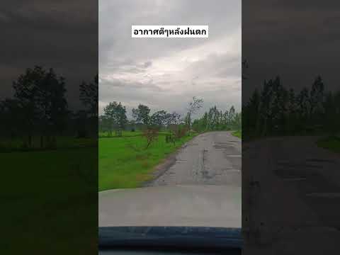 อากาศดีๆหลังฝนตกการเดินทางมห