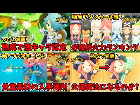 総集編その7。ジークとククの検証そして一番火力があるのは誰だ！？【ファンタジーライフi】【naotin】