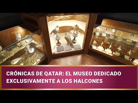 Crónicas de Qatar: El museo dedicado exclusivamente a los halcones
