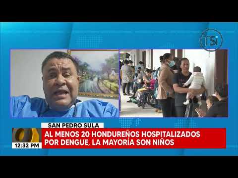 Reportan al menos 20 hondureños hospitalizados por dengue en el Valle de Sula
