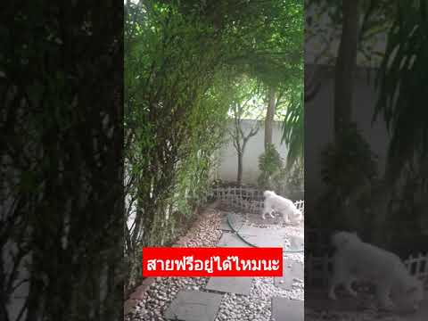 คุยกันยามเช้า-สายฟรีอยู่ได้ไหม คุยกันยามเช้า-สายฟรีอยู่ได้ไหม