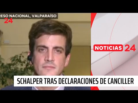 Schalper tras declaraciones de canciller venezolano | 24 Horas TVN Chile