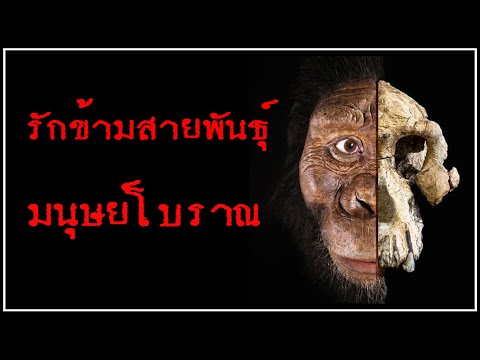 ความรักข้ามสายพันธุ์-ระหว่างมน ความรักข้ามสายพันธุ์-ระหว่างมน