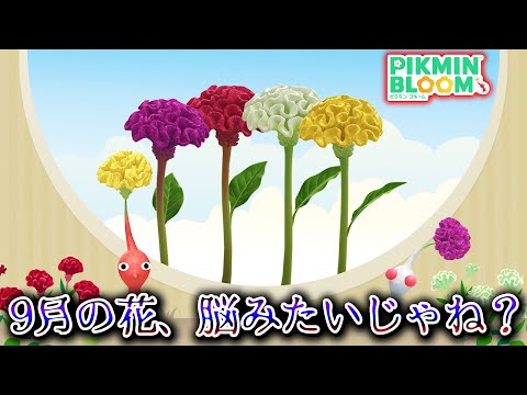 【ピクミンブルーム】9月の花、脳みたいじゃね？【Pikmin Bloom】