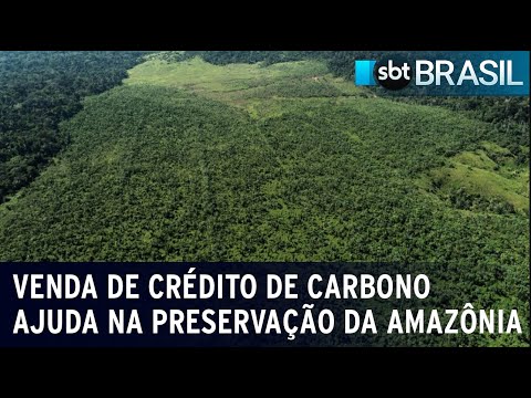 Venda de crédito de carbono ajuda na preservação da Floresta Amazônia | SBT Brasil (02/03/2024)