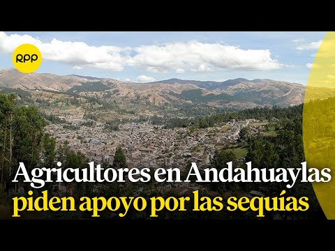 Fenómeno El Niño: Agricultores en Andahuaylas piden apoyo por las sequías