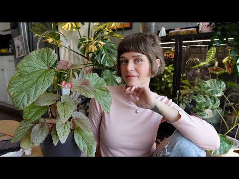 the plants I'm most excited about this spring 🌞🌿