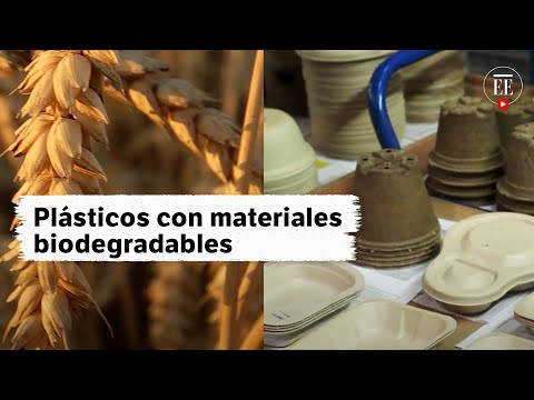 Empresa alemana crea plásticos de un solo uso con materiales biodegradables | El Espectador