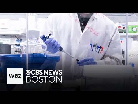 Scientists are making progress using immunotherapy to fight cancer