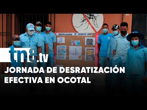 MINSA inicia II Jornada de Desratización en Ocotal - Nicaragua