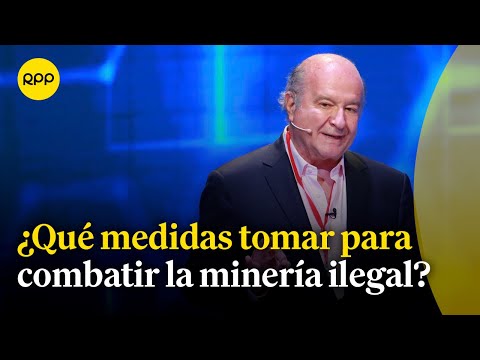 Hernando de Soto: ¿Cuáles son las medidas a tomar para combatir la minería ilegal?