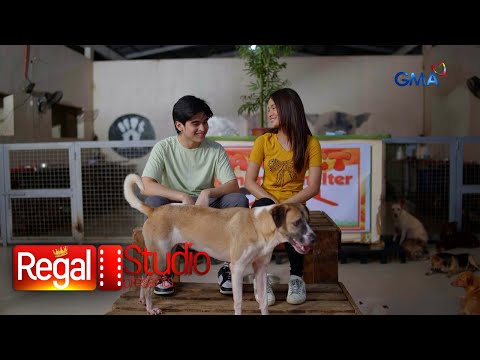 Regal Studio Presents: Kasing loyal ba ng alaga ang kanyang amo? (Pawfect Match)