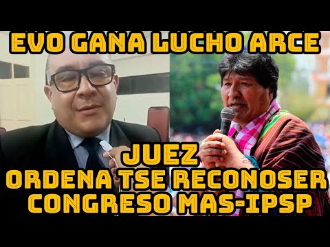 JUSTICIA ORDENA TRIBUNAL SUPREMO ELECTORAL BOLIVIA RECONOSER CONGRESO NACIONAL MAS-IPSP..
