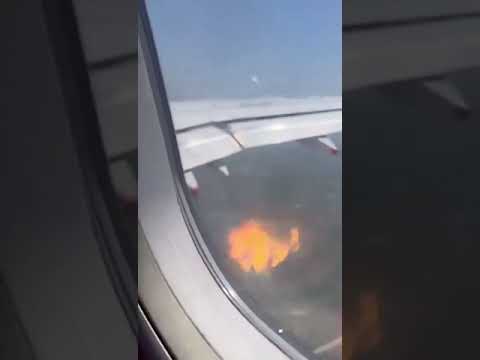 Mediante comunicado Avianca solicita medias tras incidente con ave que daño el motor de un avión