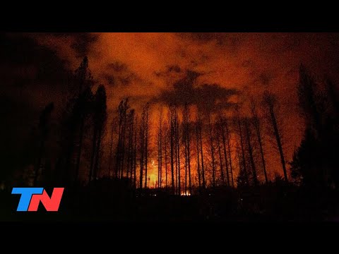 Es una catástrofe, no hay registros de un incendio así: Sigue avanzando el fuego en la Patagonia